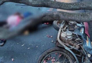 Sad News : Big accident...! Tree fell on moving bike... 2 people died, 1 serious