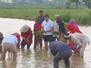 Dis's Qualify MP: When Rahul Gandhi planted paddy by wading in knee-deep water…see VIDEO