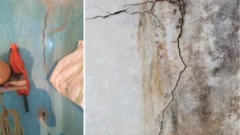 Earthquake in CG: Big news…! Earthquake tremors in 4 districts of Bilaspur-Surguja division… cracks in the walls of the house