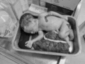 Crime News: The dead body of a newborn baby in the commode of the toilet...a video that embarrasses humanity