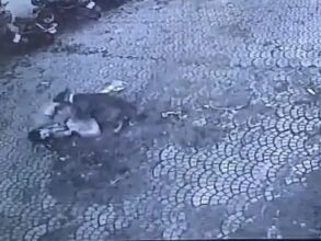 Dog Attacked: Old woman kept fighting with dog for 33 seconds...! A hair-raising video surfaced