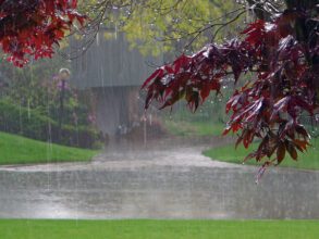 Again Active Monsoon: Heavy rain in many districts including Raipur...Orange and yellow alert in these districts