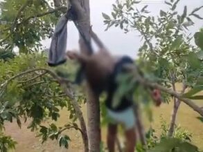 Killer Father: The father gave a gruesome death to an innocent child… hanged the child with his own torn pants and then…?