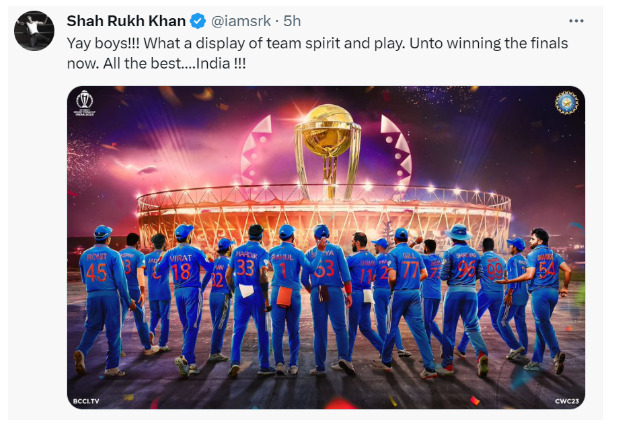 Celebs Reactions Final Match: From Amitabh Bachchan to Ajay Dewangan, these Bollywood stars celebrated the victory...see tweet