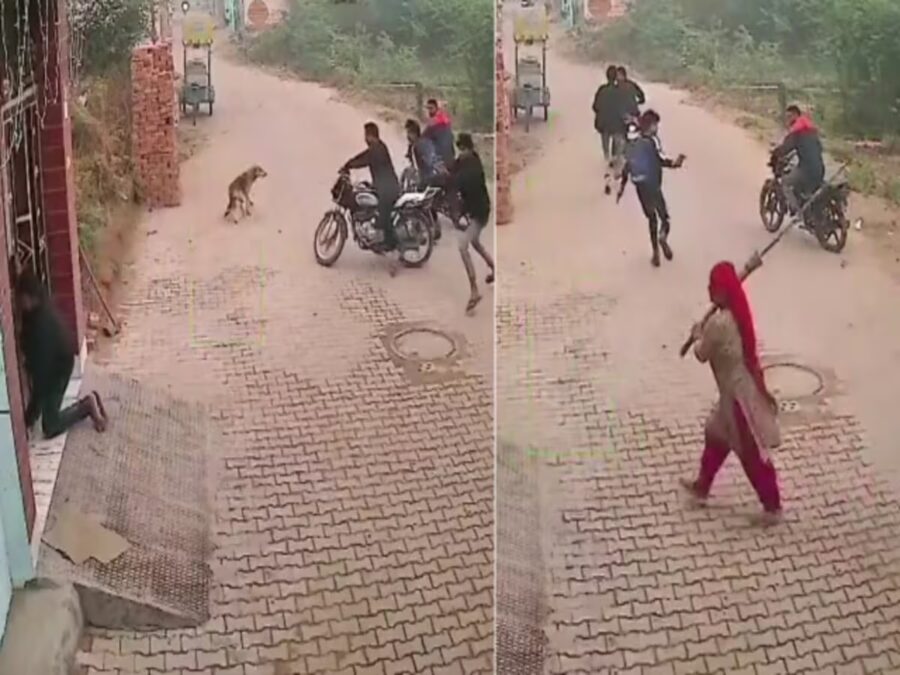Shooter Firing: Shocking scene captured in CCTV...! This woman chased away the 'shooters' who were firing with a broom...see VIDEO