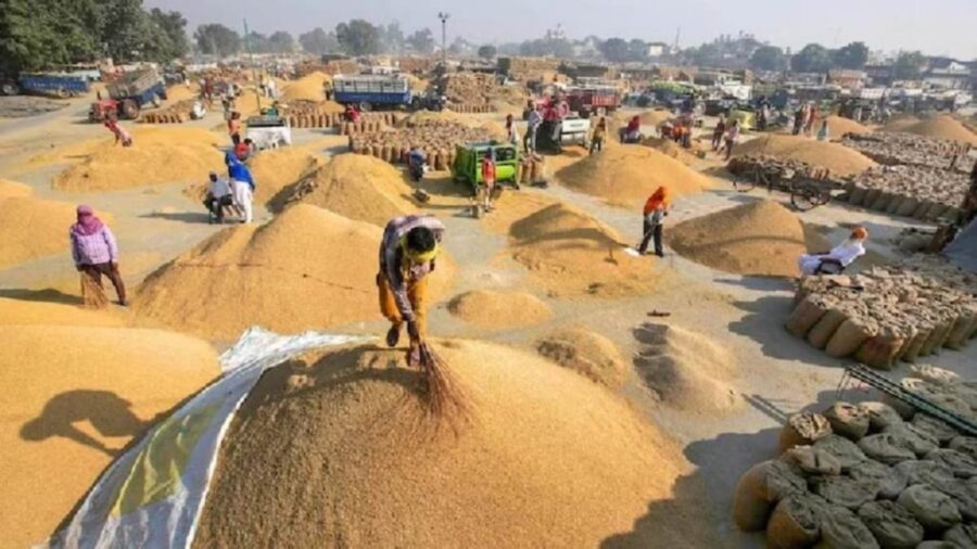 Dhan Kharidi in CG: Big promise of paddy purchase fulfilled...! Great news for farmers...order effective from 1st November...see