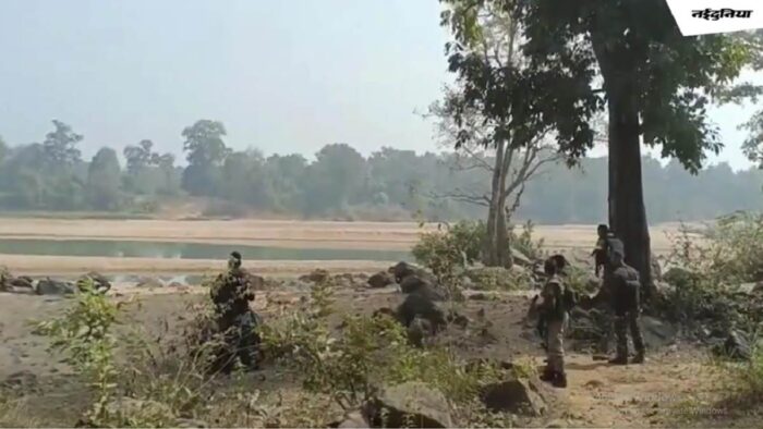 CG Naxal Police Encounter: Encounter between police and Naxalites on Bijapur-Dantewada border, STF jawan's brother died in cross firing
