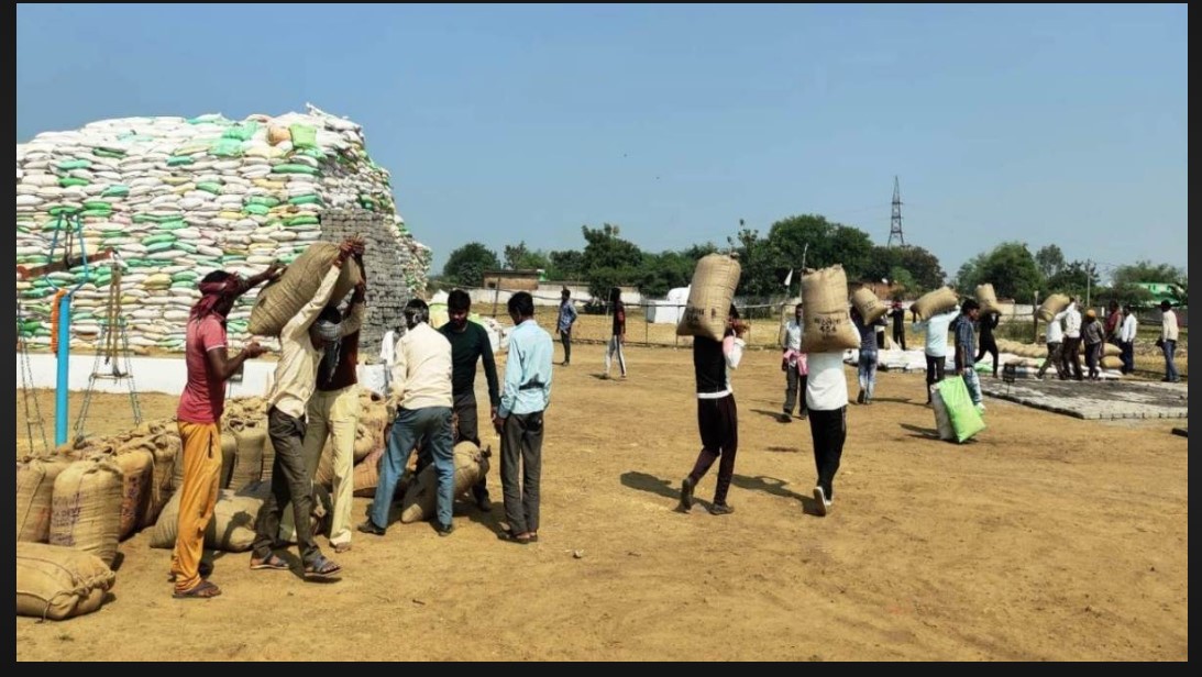 Support Price: Big update on paddy purchase in Chhattisgarh...! Now it will be purchased at Rs 3217 instead of Rs 3100... Listen here what the CM said...?