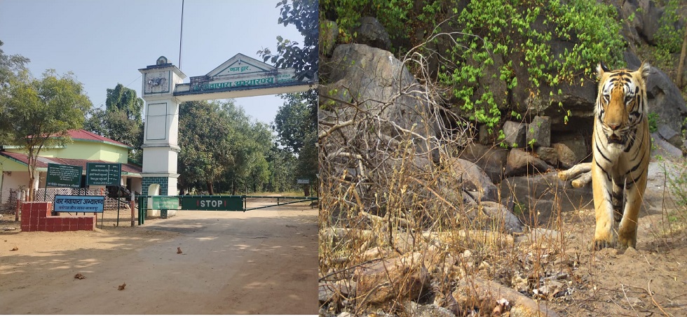 Baranwapara: Like Kanha National Park, now tourists will get facilities in this sanctuary of Chhattisgarh too.