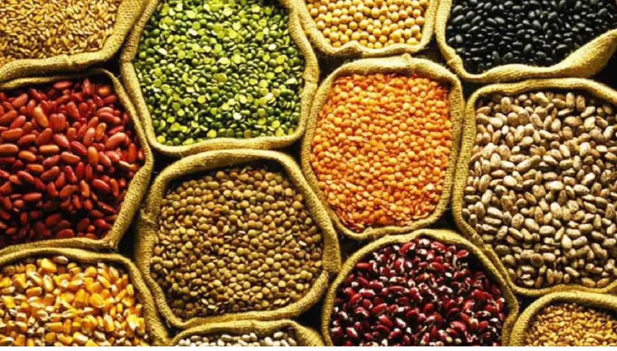 Dal Price: Prices of pulses are skyrocketing, Chhattisgarh government took this step, now there is hope of getting relief!