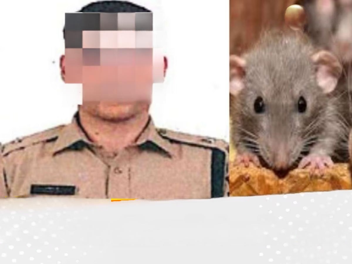 Strange behavior of IPS Rohan Jha…! Rats' necks bitten...female officer misbehaved...SP traffic office vandalized...see the officer's orgy here