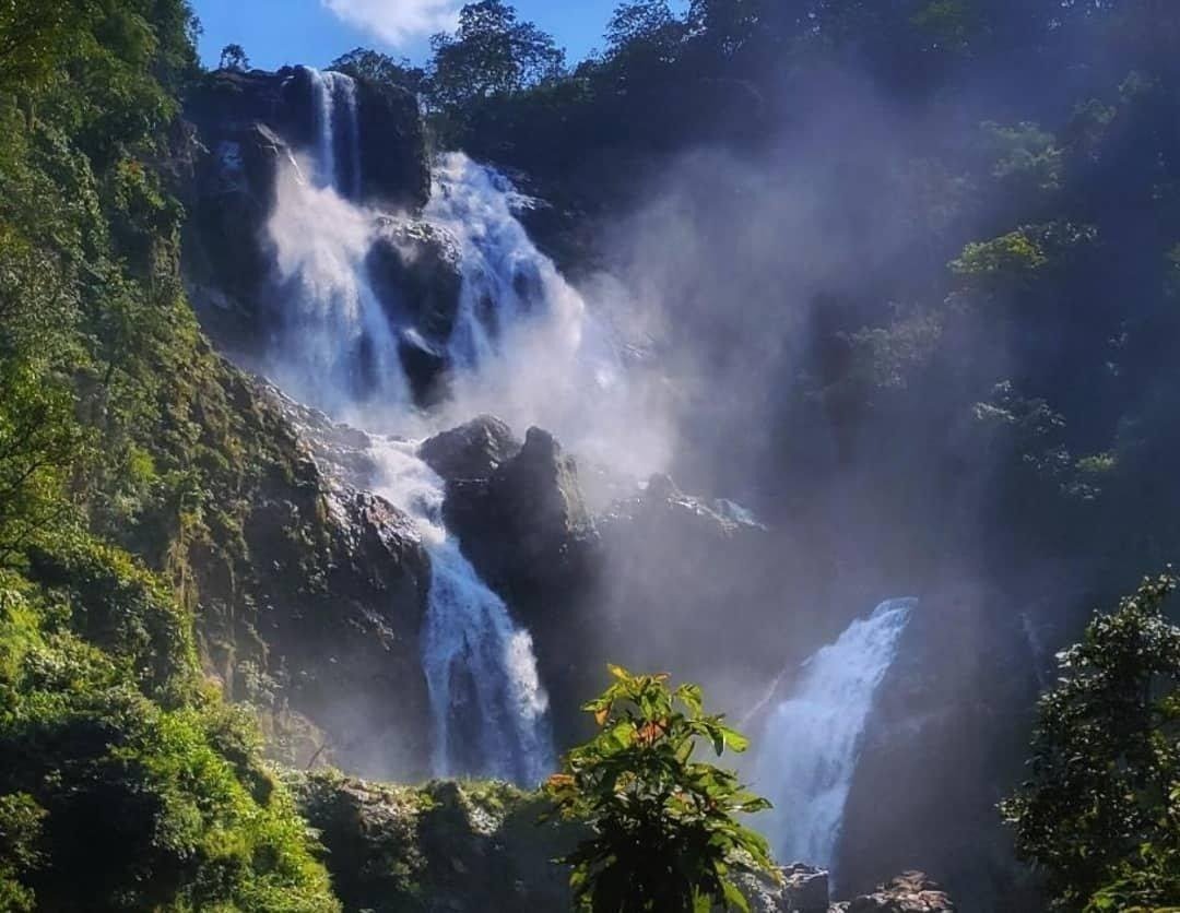 CG Tourism : विदेशी सैलानियों की पहली पसंद बन रहा छत्तीसगढ़, छत्तीसगढ़ की प्रकृति, जनजातीय संस्कृति और आधुनिक पर्यटन सुविधाएं आकर्षित कर रही अंर्तराष्ट्रीय पर्यटकों को